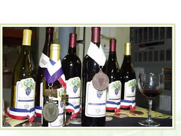 Kreutz Creek Vineyards